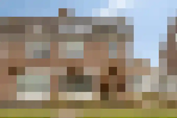 Eendvogelstraat 58 Heinkenszand thumbnail 30