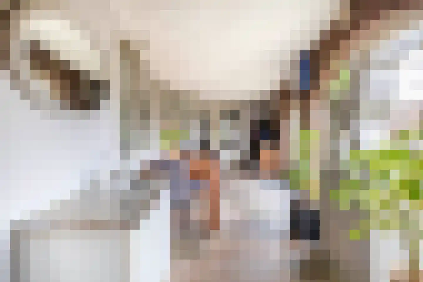 Eeneind 39 Nuenen thumbnail 31
