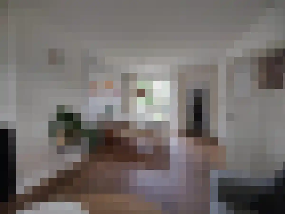 Eeneind 5 Nuenen thumbnail 5