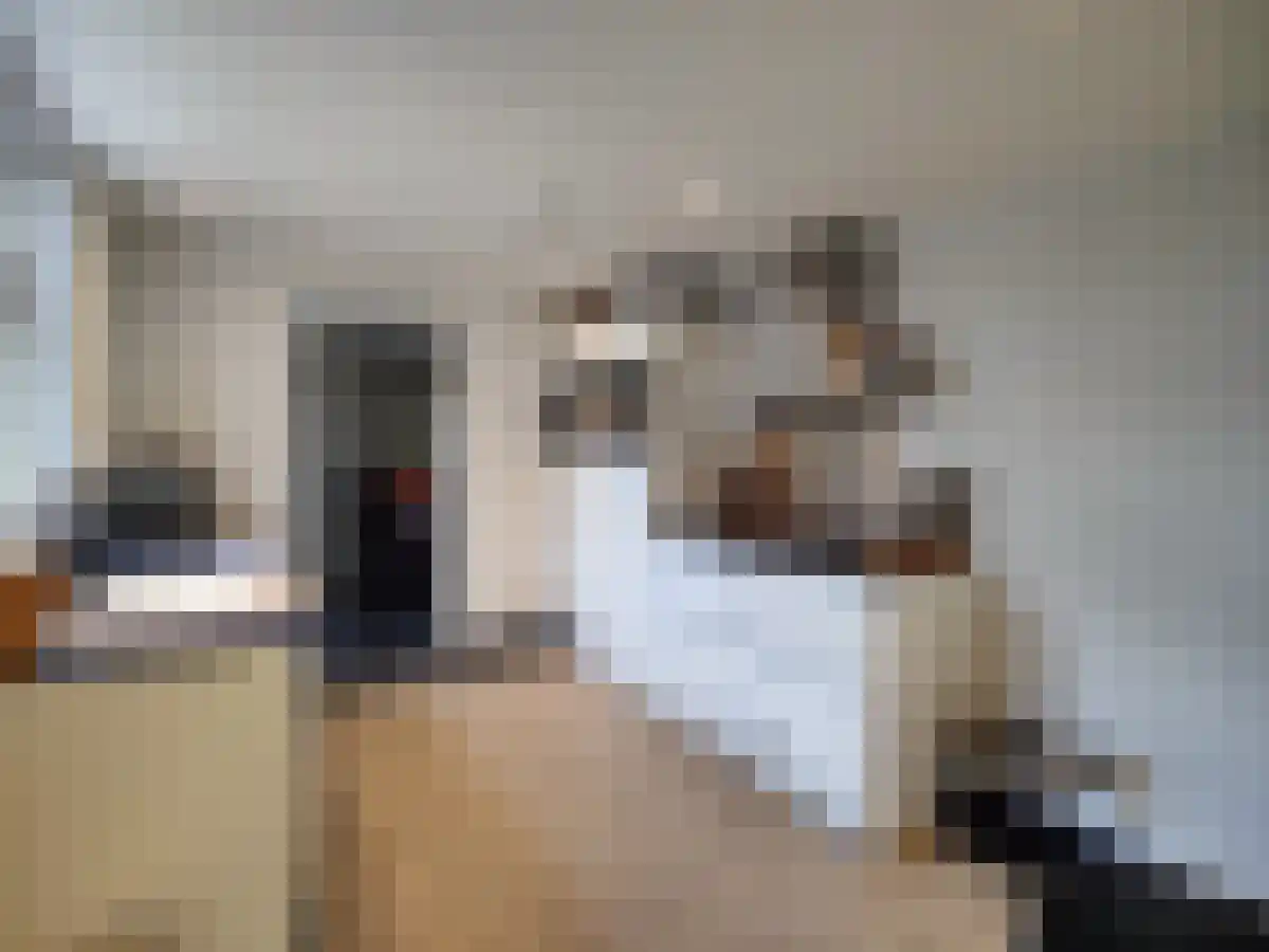 Eeneind 5 Nuenen thumbnail 6