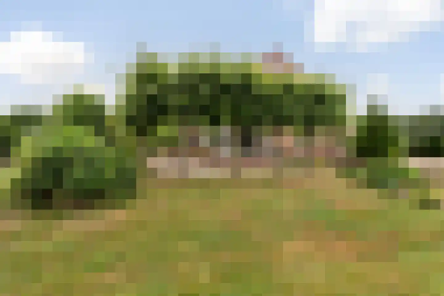 Eenendertigste Wijk-Zuid 22 Hollandscheveld thumbnail 47