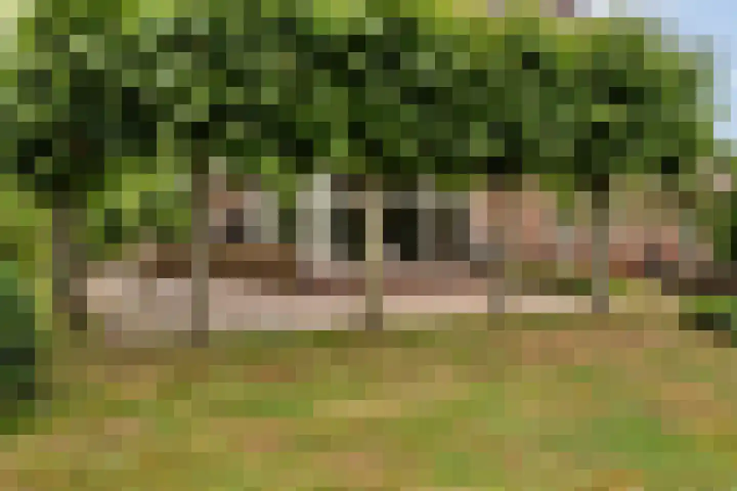 Eenendertigste Wijk-Zuid 22 Hollandscheveld thumbnail 49