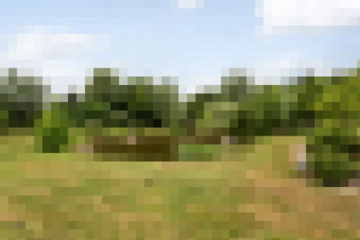 Eenendertigste Wijk-Zuid 22 Hollandscheveld thumbnail 50