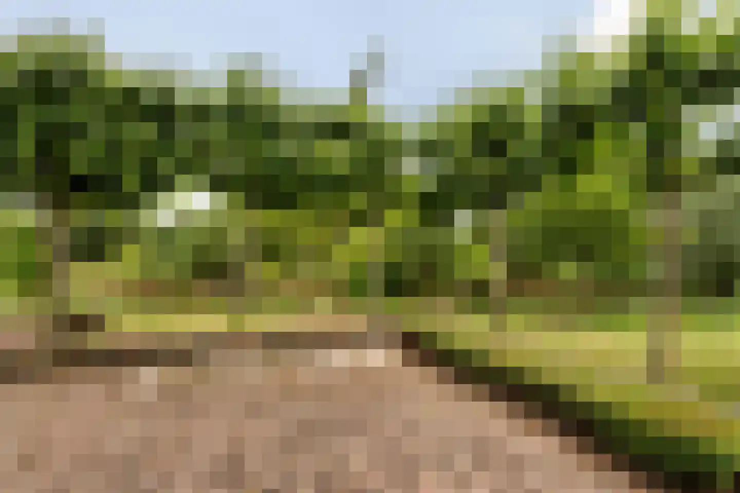 Eenendertigste Wijk-Zuid 22 Hollandscheveld thumbnail 51