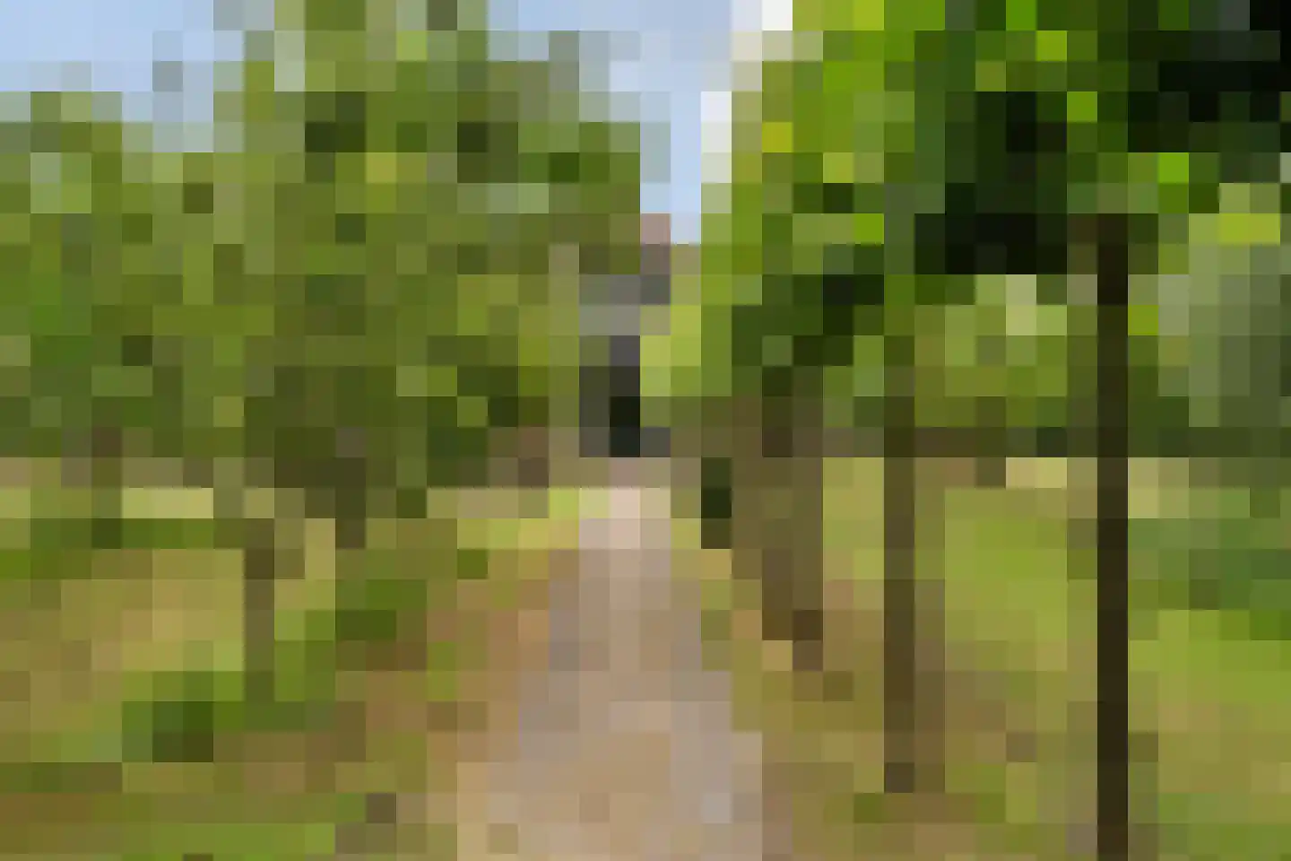 Eenendertigste Wijk-Zuid 22 Hollandscheveld thumbnail 53