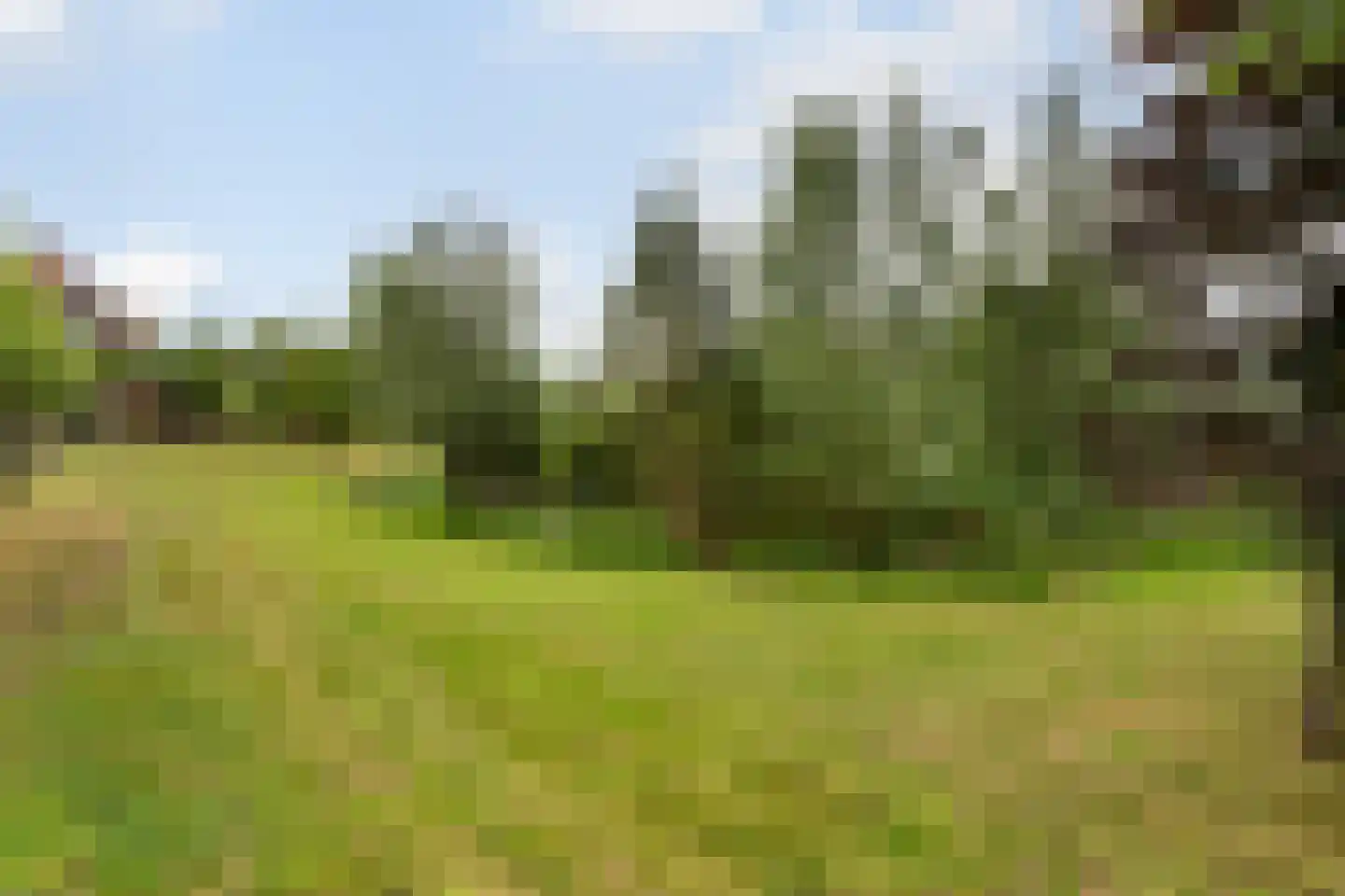 Eenendertigste Wijk-Zuid 22 Hollandscheveld thumbnail 54