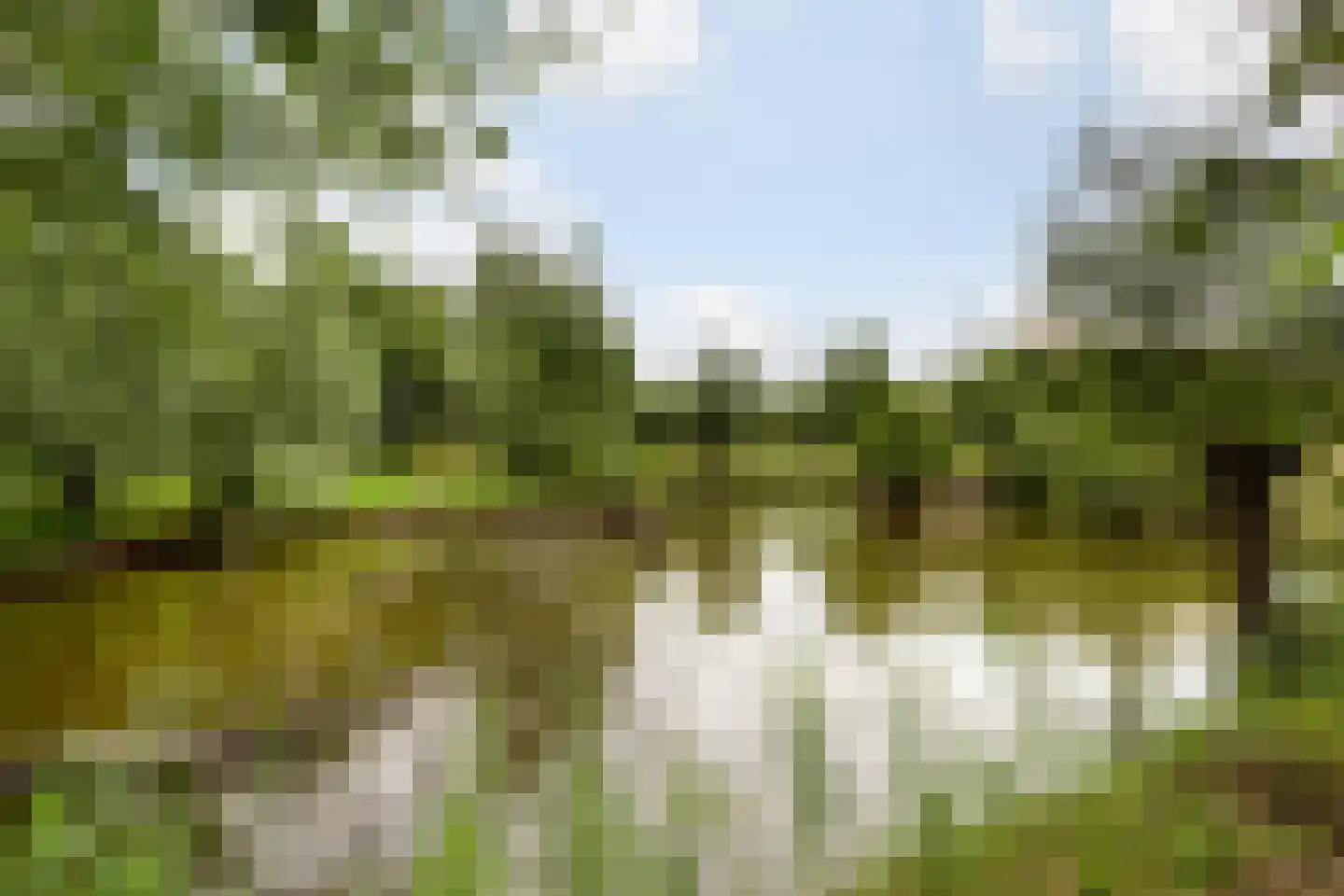 Eenendertigste Wijk-Zuid 22 Hollandscheveld thumbnail 58