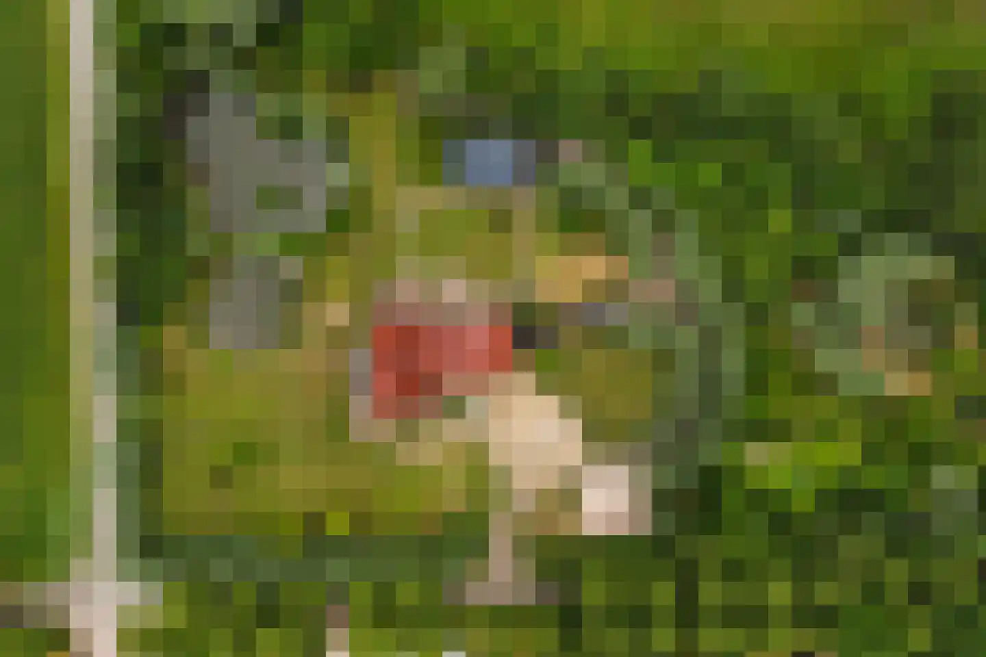 Eenendertigste Wijk-Zuid 22 Hollandscheveld thumbnail 66