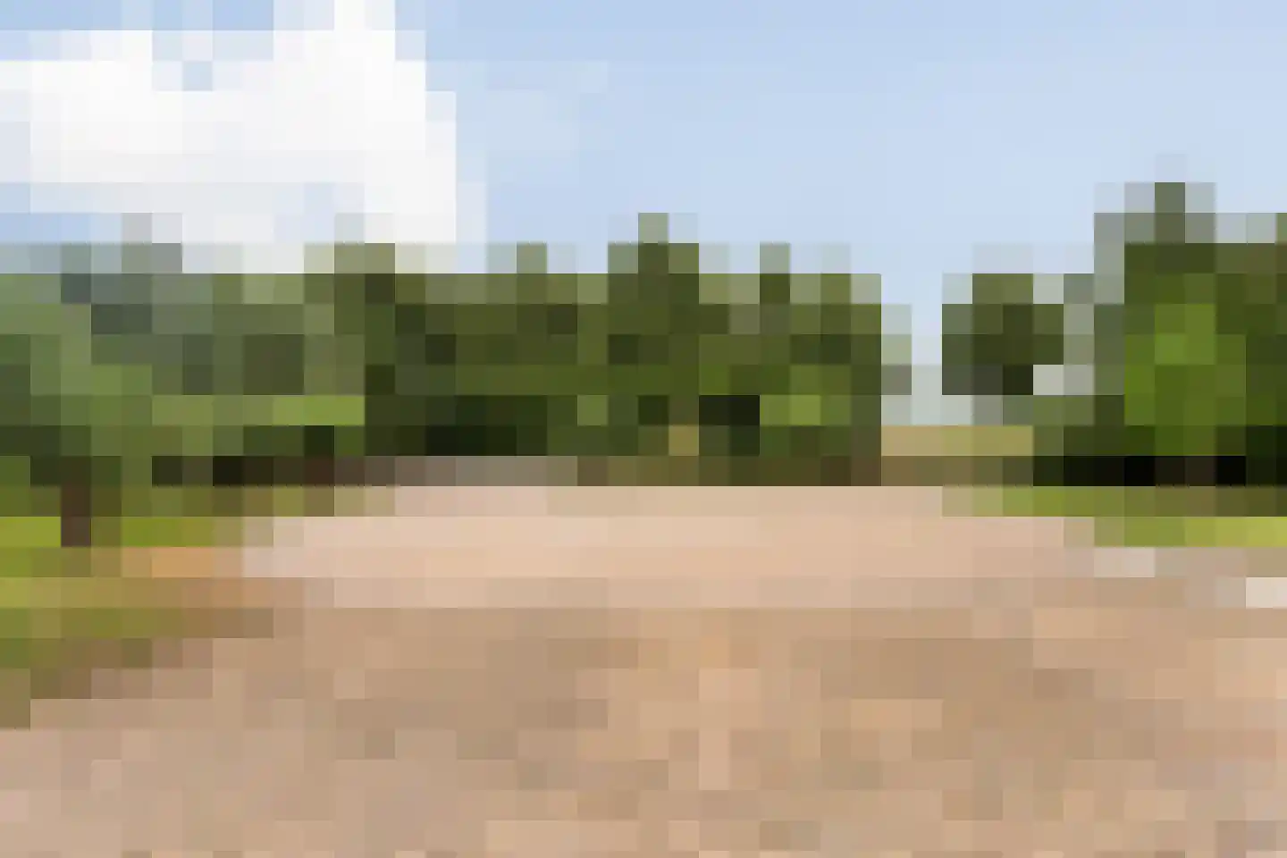 Eenendertigste Wijk-Zuid 22 Hollandscheveld thumbnail 72