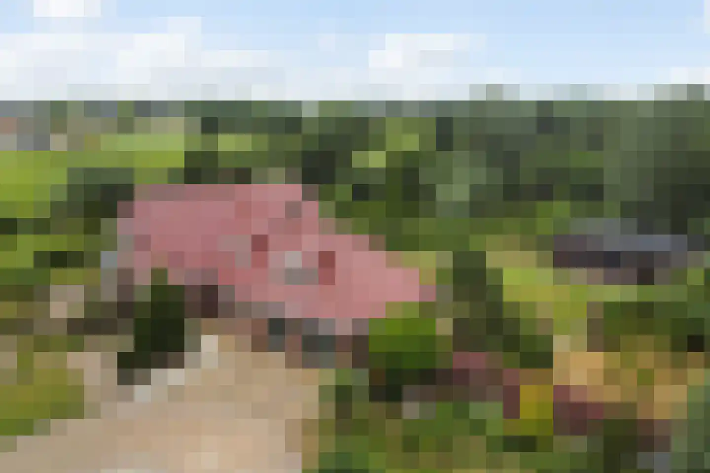 Eenendertigste Wijk-Zuid 22 Hollandscheveld thumbnail 73