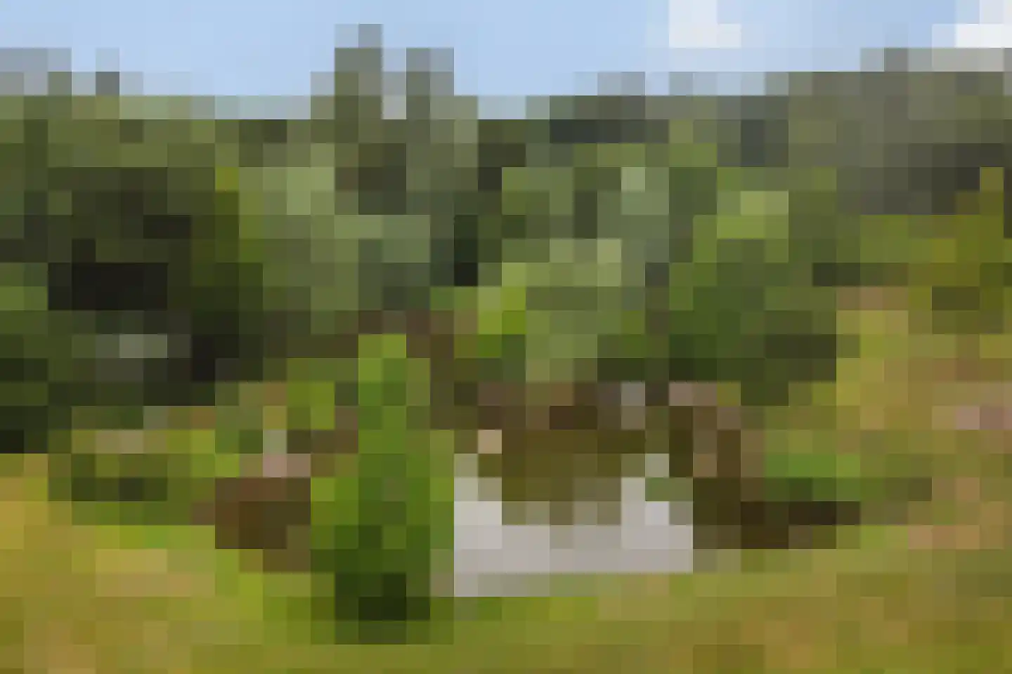 Eenendertigste Wijk-Zuid 22 Hollandscheveld thumbnail 75
