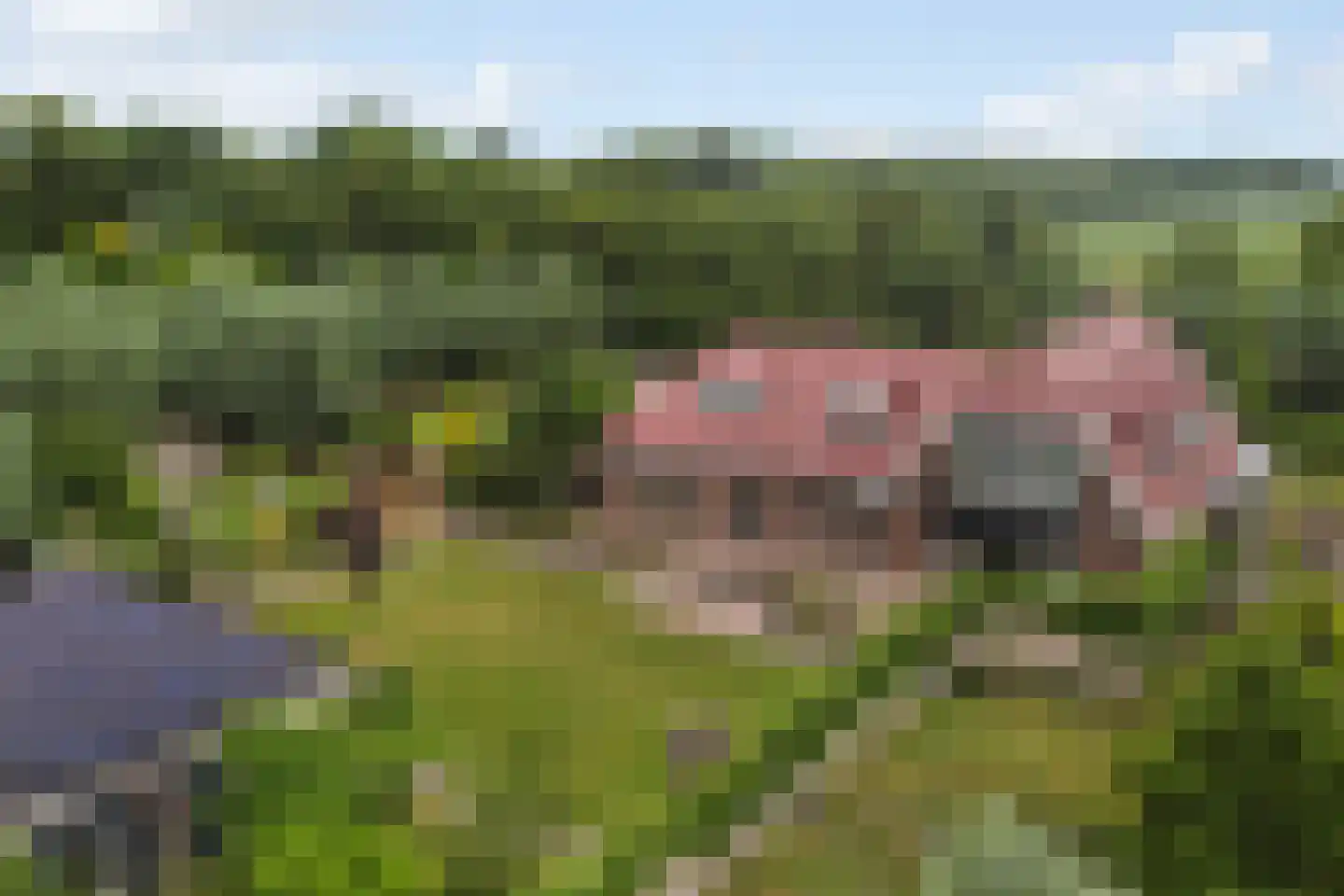 Eenendertigste Wijk-Zuid 22 Hollandscheveld thumbnail 76