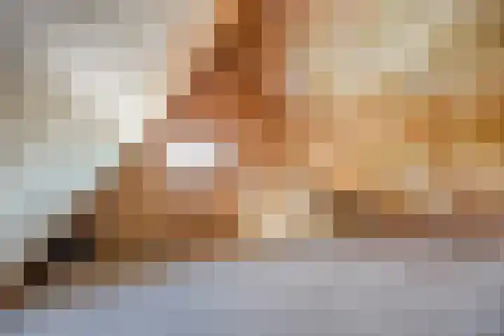 Eenerstraat 33 Norg thumbnail 19