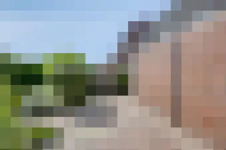 Eenerstraat 33 Norg thumbnail 21