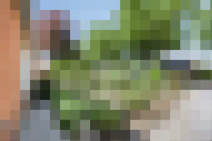 Eenerstraat 33 Norg thumbnail 25