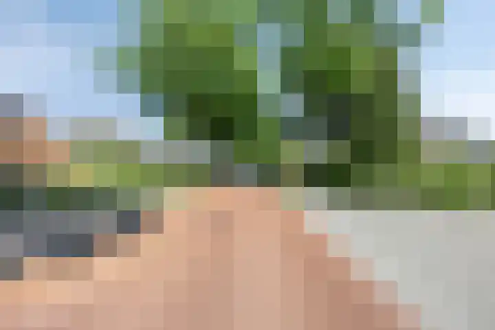 Eenerstraat 33 Norg thumbnail 26
