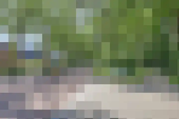 Eenerstraat 33 Norg thumbnail 27