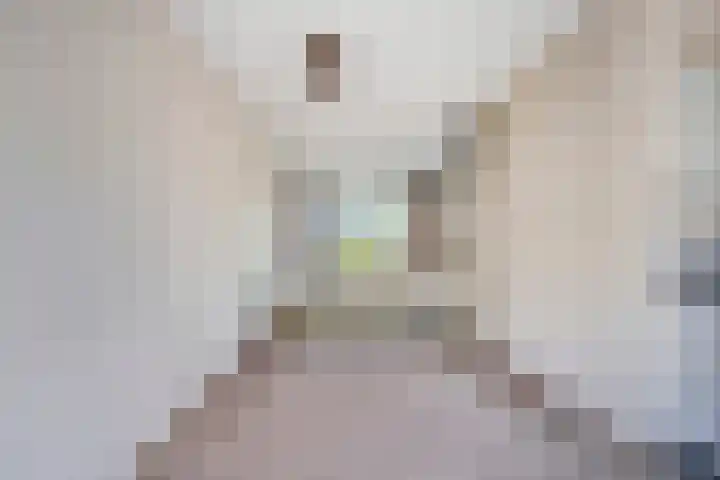 Eenerstraat 33 Norg thumbnail 7