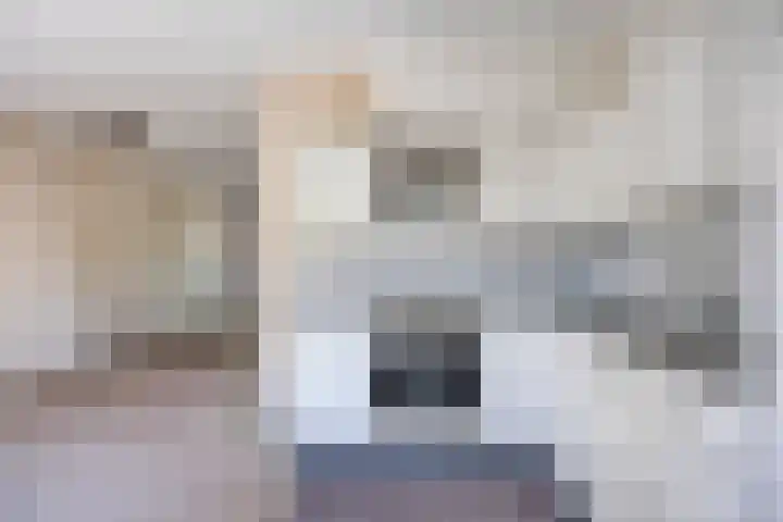 Eenerstraat 33 Norg thumbnail 9