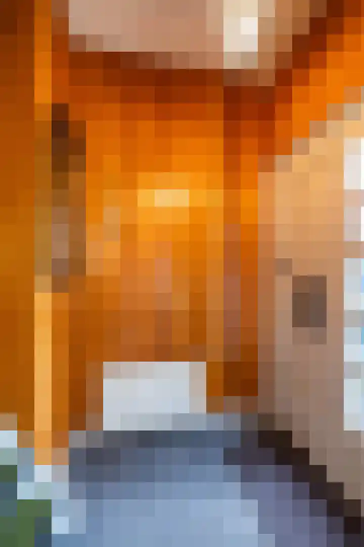 Eenerstraat 44 Norg thumbnail 11