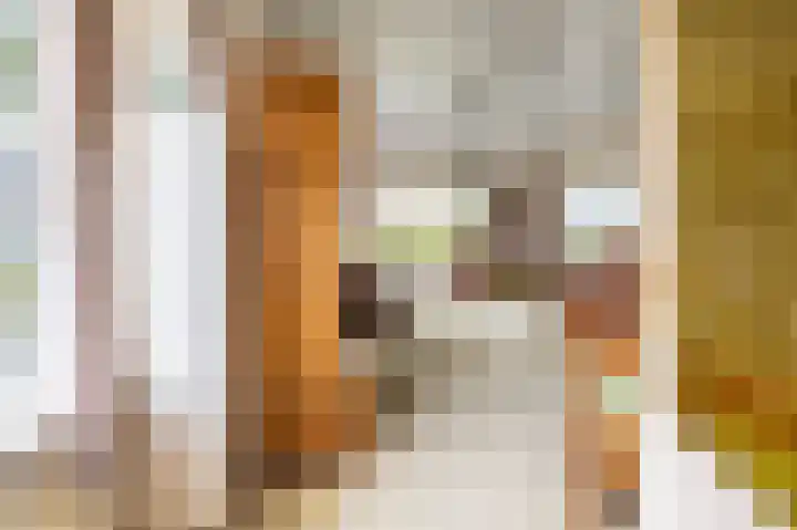 Eenerstraat 44 Norg thumbnail 12