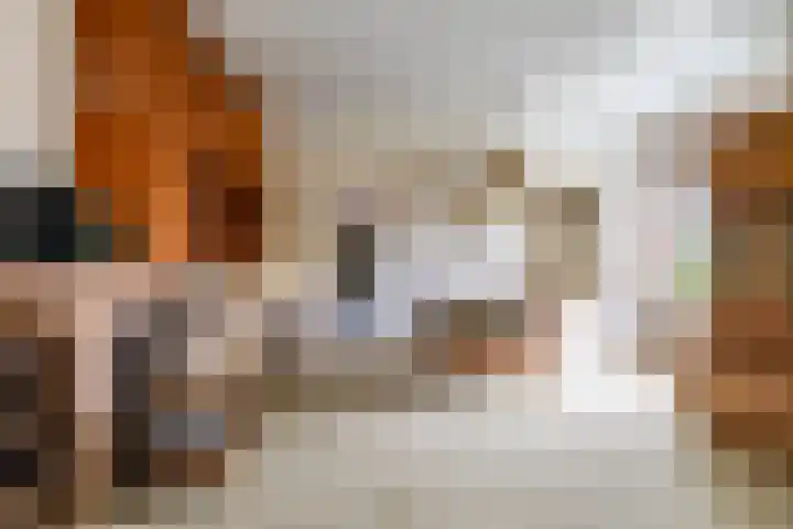 Eenerstraat 44 Norg thumbnail 17