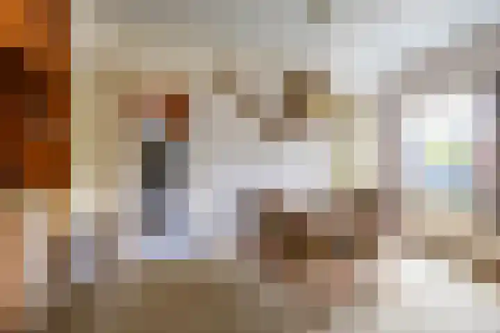 Eenerstraat 44 Norg thumbnail 18
