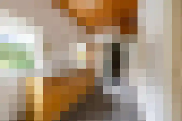 Eenerstraat 44 Norg thumbnail 19