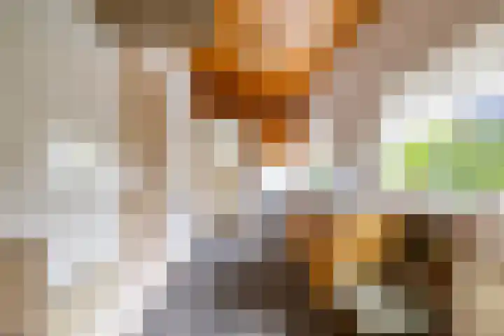 Eenerstraat 44 Norg thumbnail 20