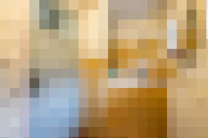 Eenerstraat 44 Norg thumbnail 22
