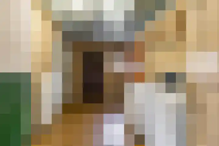 Eenerstraat 44 Norg thumbnail 26