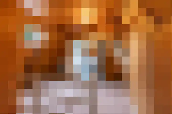 Eenerstraat 44 Norg thumbnail 28