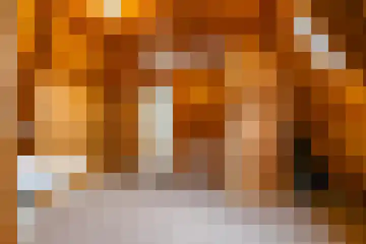Eenerstraat 44 Norg thumbnail 32