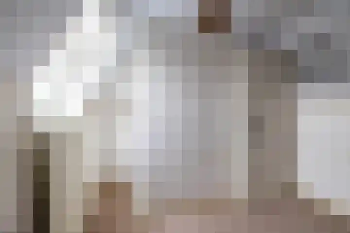 Eenerstraat 44 Norg thumbnail 35