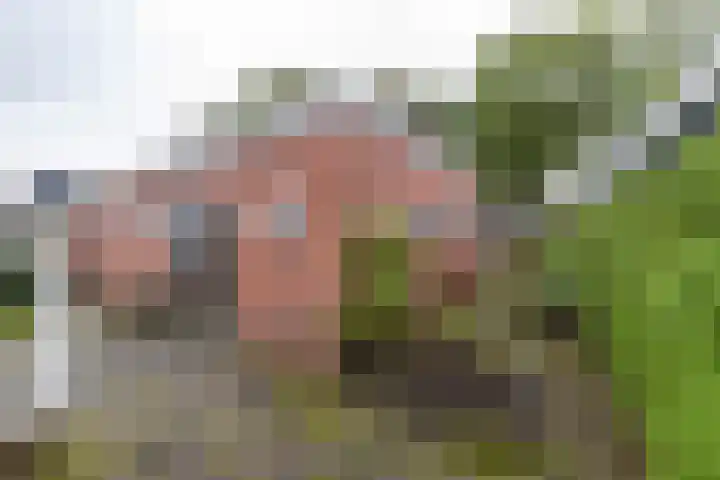 Eenerstraat 44 Norg thumbnail 36