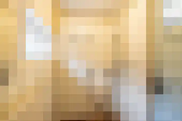 Eenerstraat 44 Norg thumbnail 4