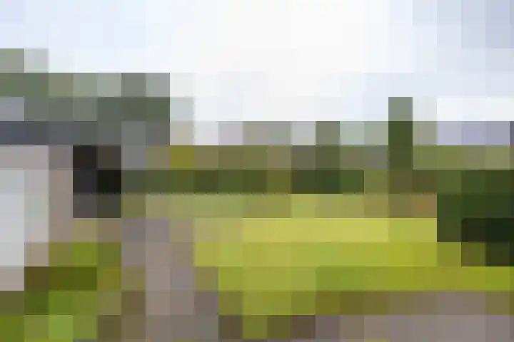Eenerstraat 44 Norg thumbnail 40