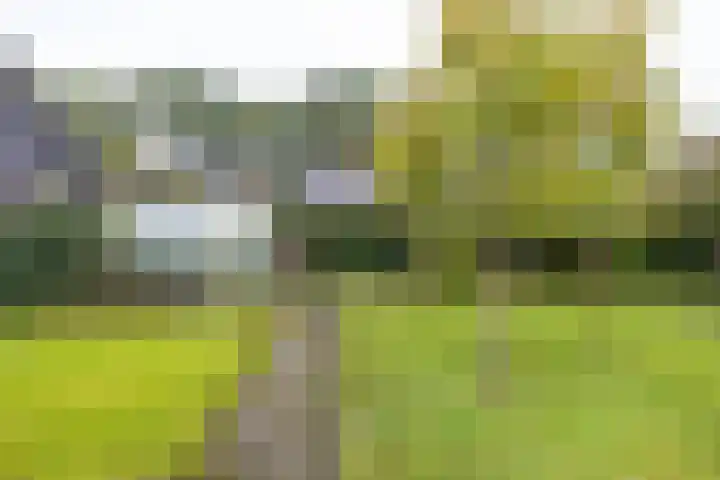 Eenerstraat 44 Norg thumbnail 41