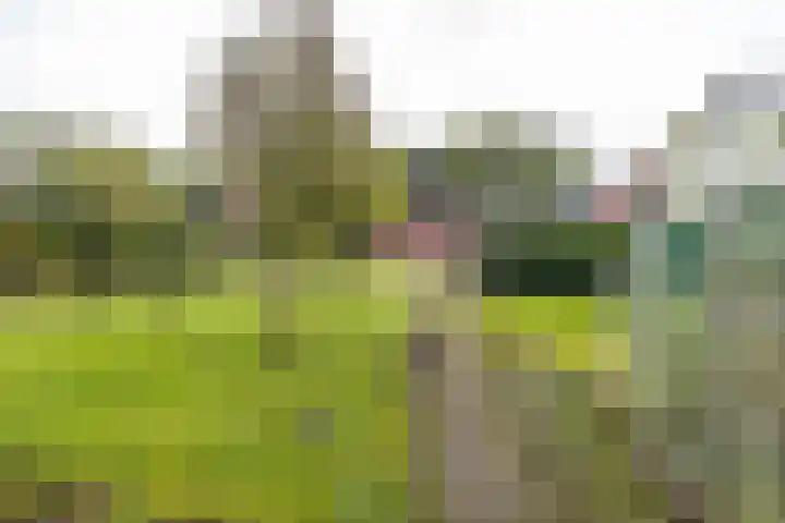 Eenerstraat 44 Norg thumbnail 42