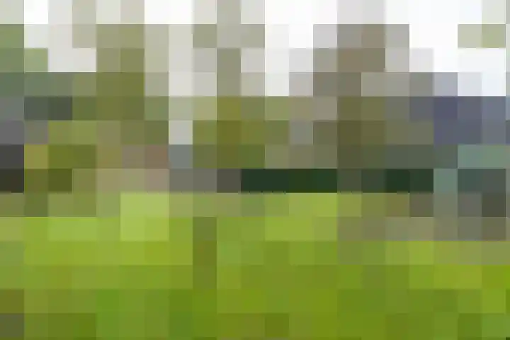 Eenerstraat 44 Norg thumbnail 43