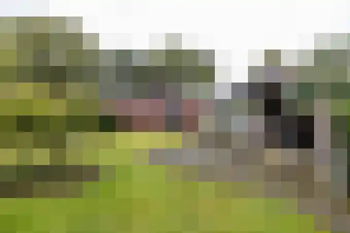 Eenerstraat 44 Norg thumbnail 44