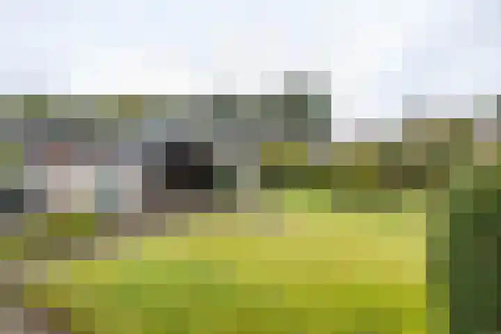 Eenerstraat 44 Norg thumbnail 5