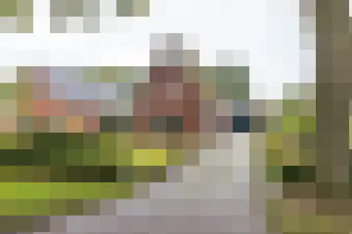 Eenerstraat 44 Norg thumbnail 6