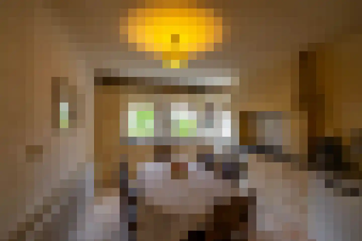 Eenerstraat 67 Norg thumbnail 16