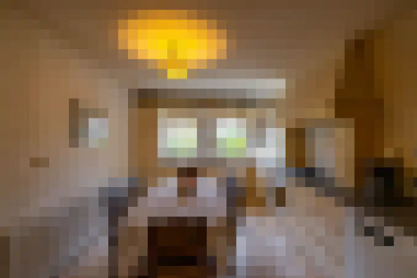 Eenerstraat 67 Norg thumbnail 17