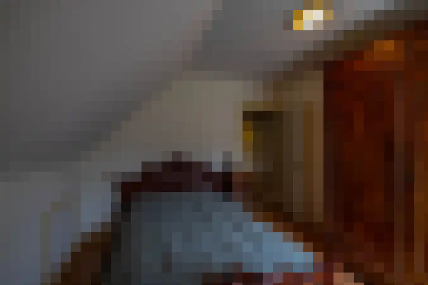 Eenerstraat 67 Norg thumbnail 28