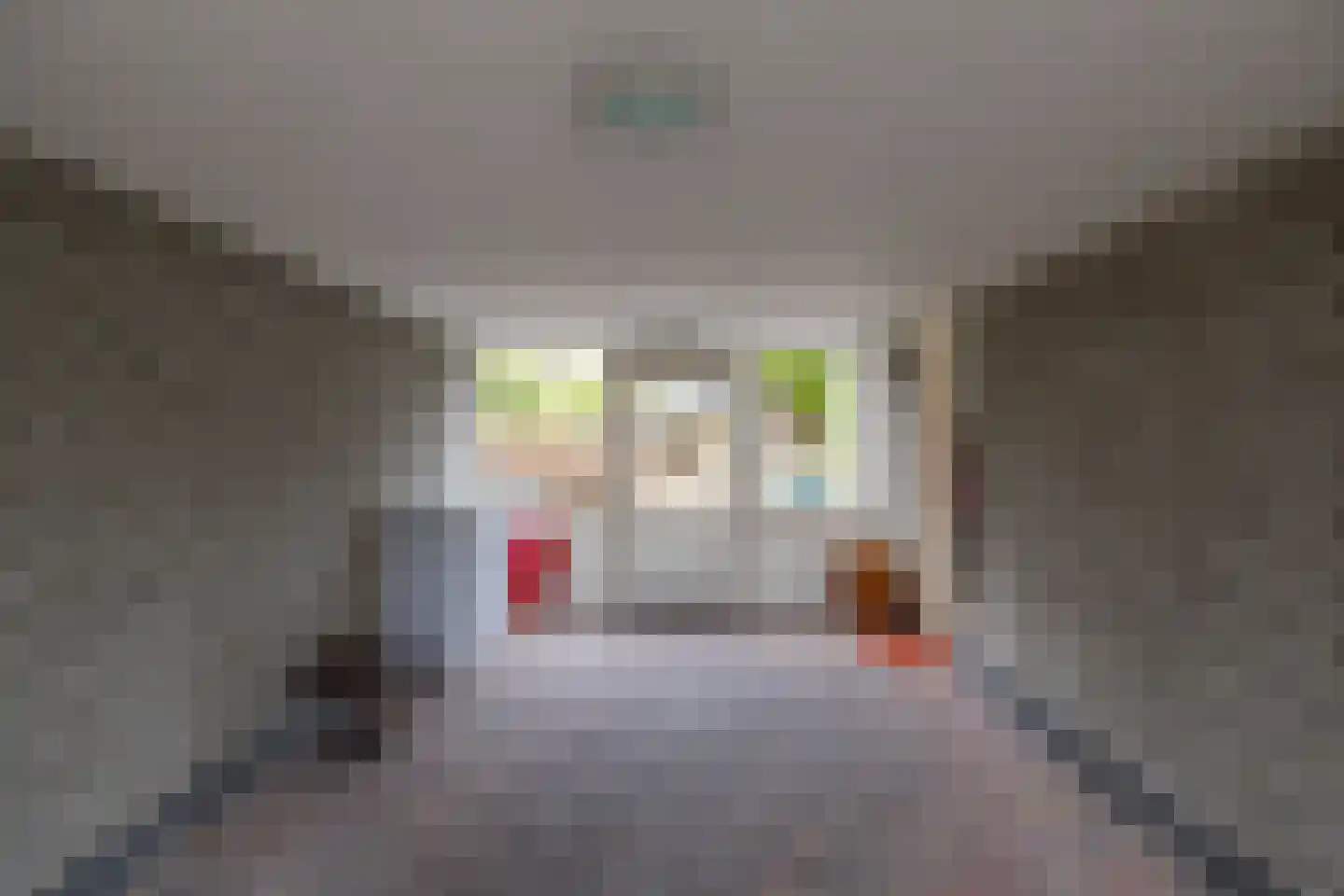 Eenerstraat 67 Norg thumbnail 32