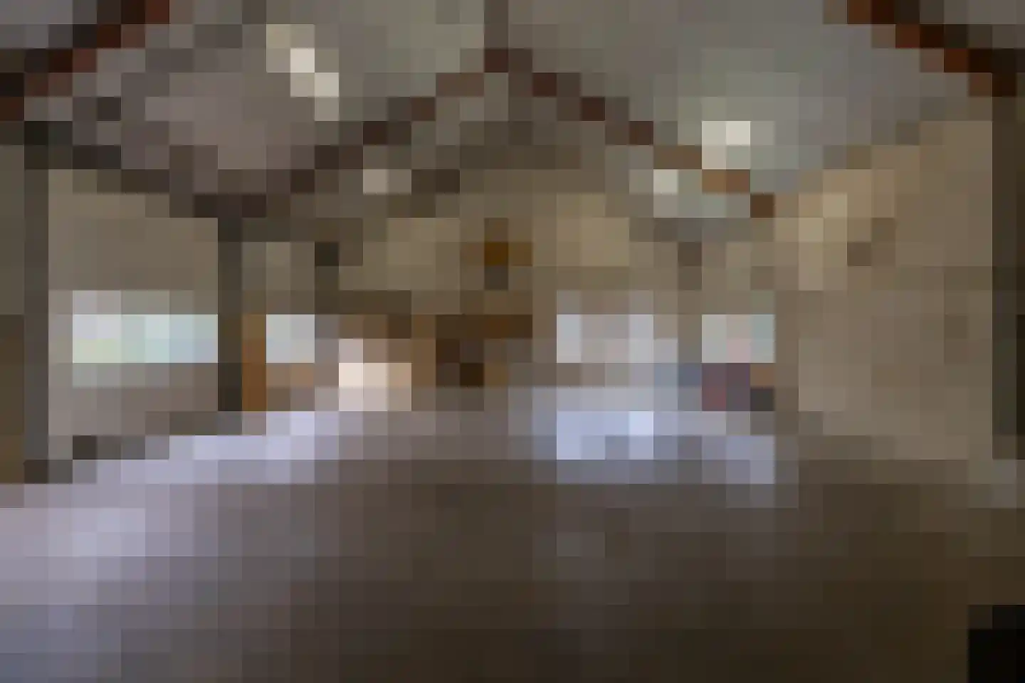 Eenerstraat 67 Norg thumbnail 37