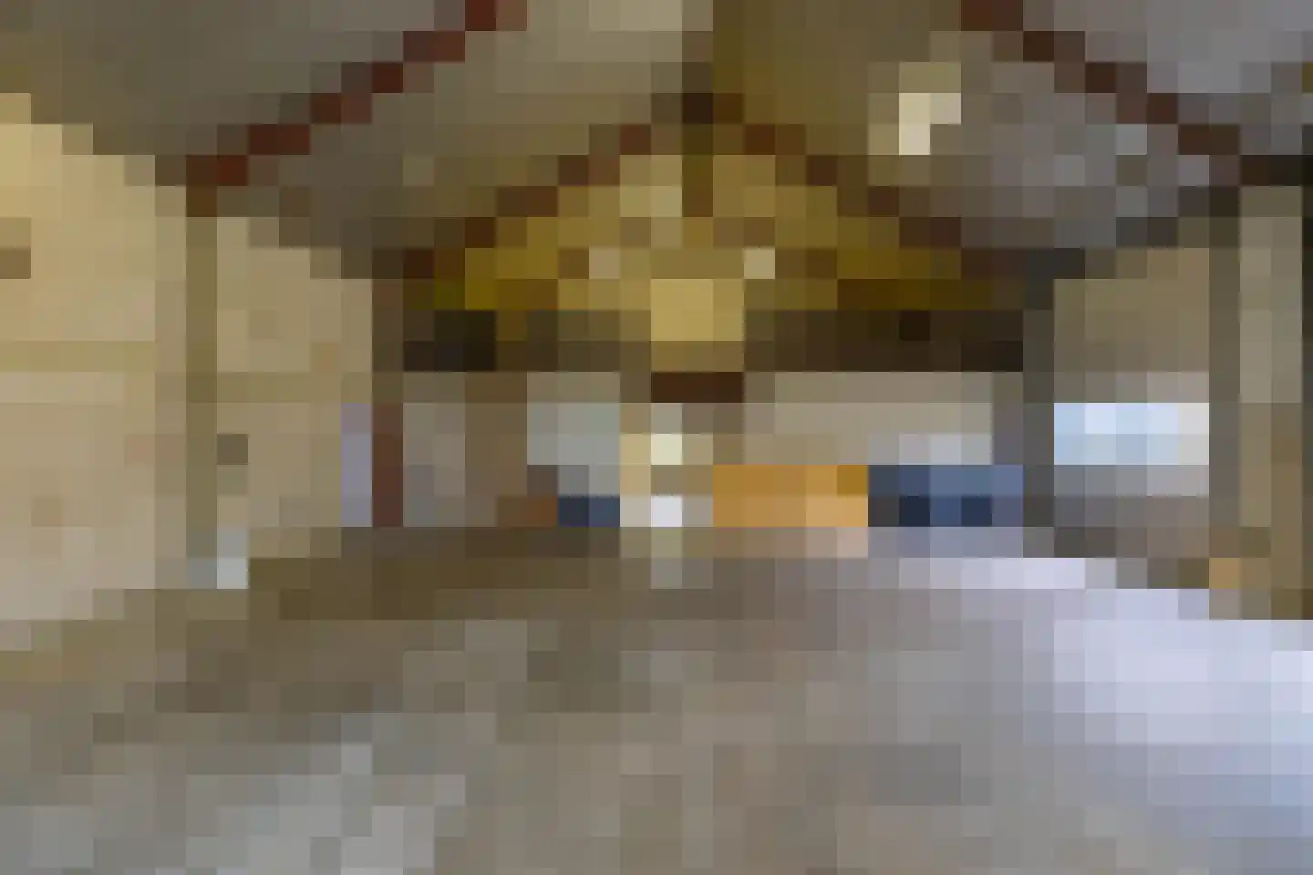 Eenerstraat 67 Norg thumbnail 38