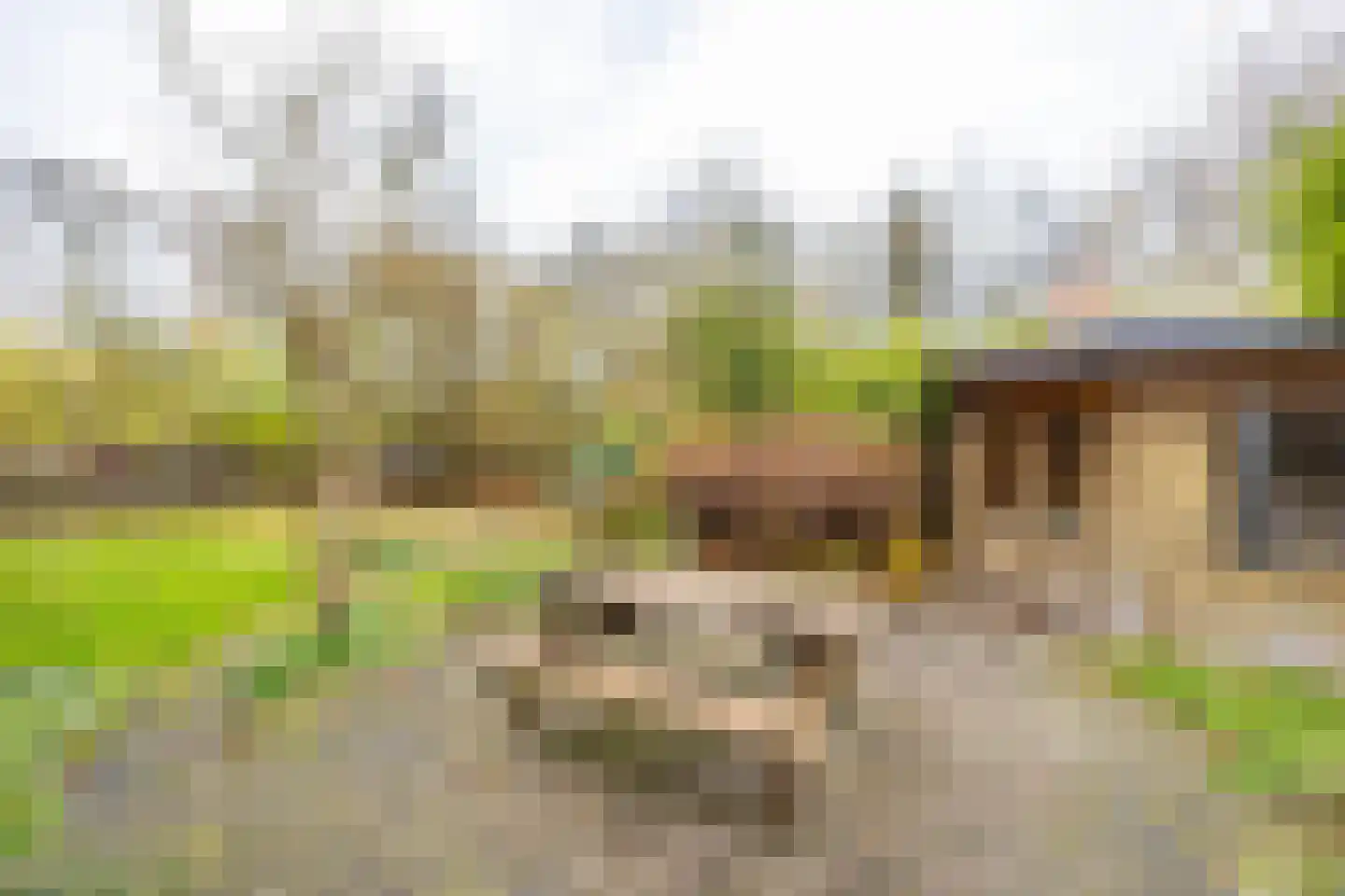 Eenerstraat 67 Norg thumbnail 42